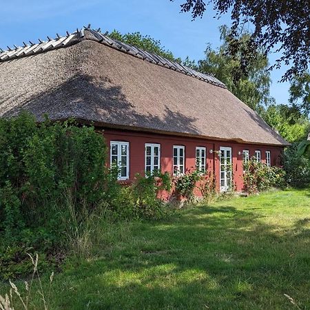 Bed and Breakfast Under Valnodden Stubbekobing Экстерьер фото
