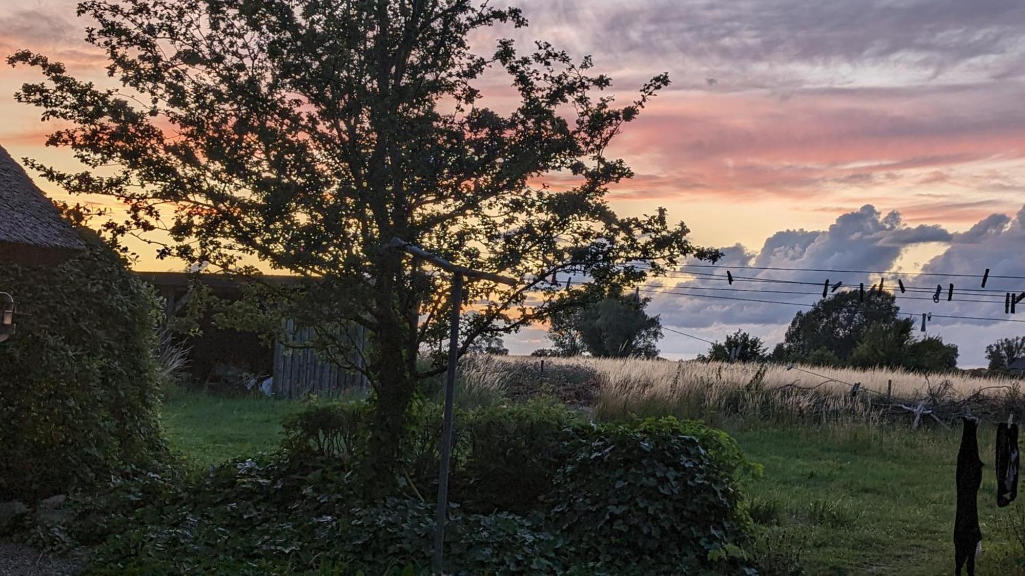 Bed and Breakfast Under Valnodden Stubbekobing Экстерьер фото